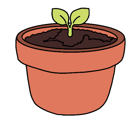 small plant
