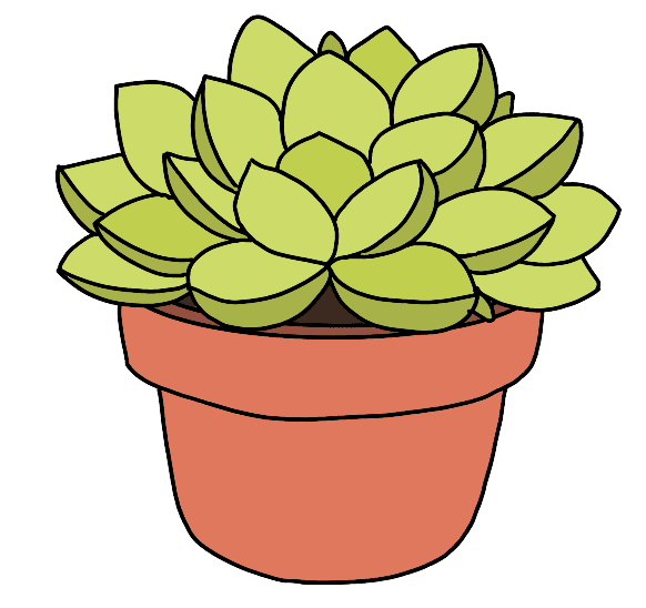 Plant illustration